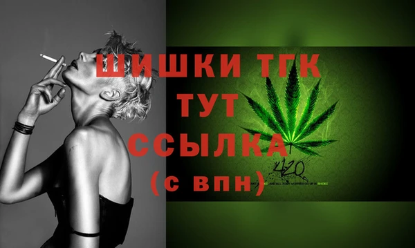 тгк Осинники