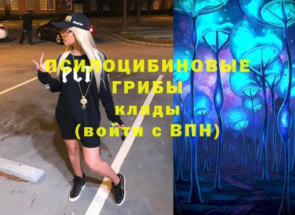 тгк Осинники