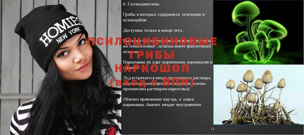 метадон Осташков