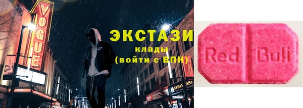 СК Пересвет